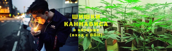 ALPHA PVP Верея